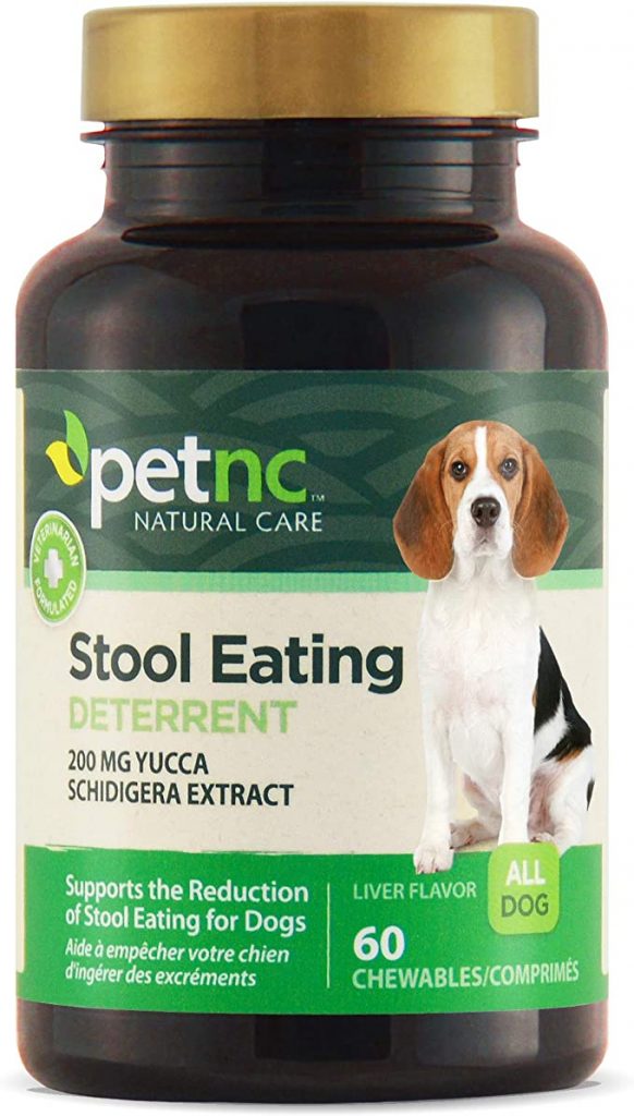 Dog Eating Poop Deterrent