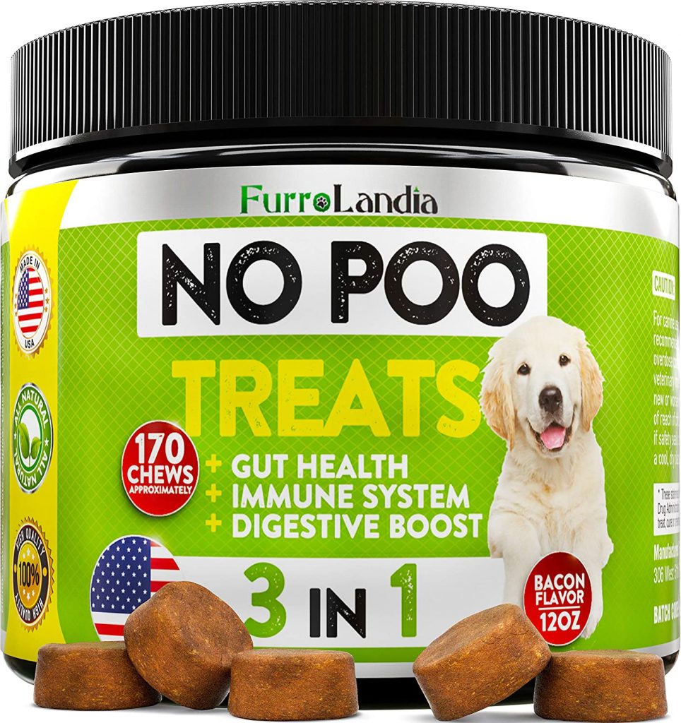 Dog Eating Poop Deterrent