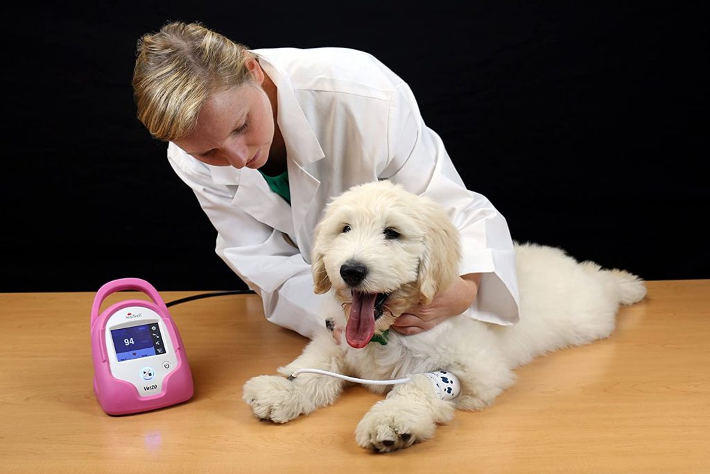 dog blood pressure monitor