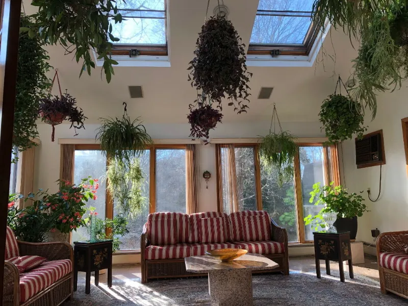 Best Indoor Winter Garden