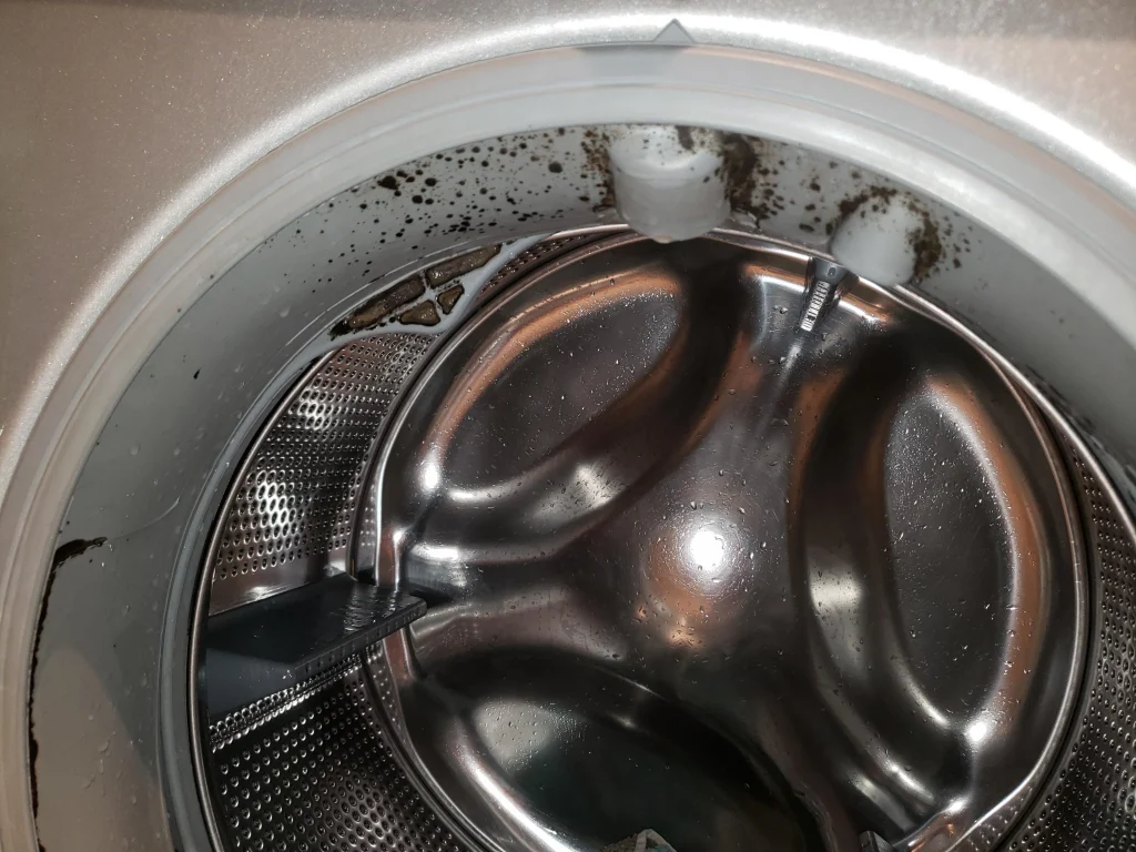 Black Mould In Washing Machine Seal
