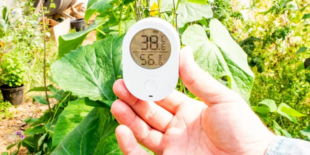 Govee Wifi Thermometer
