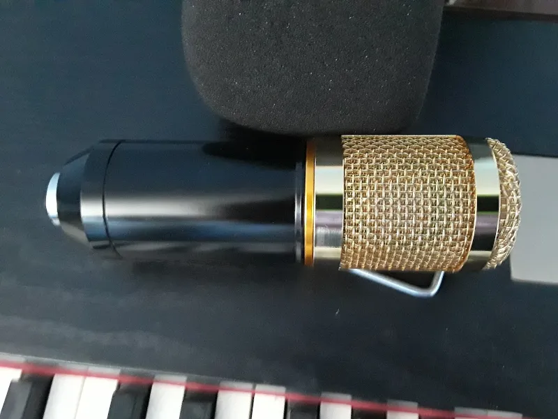 DIY Microphone