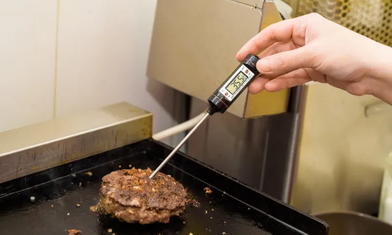 enzoo wireless meat thermometer