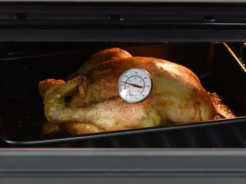 can you leave a meat thermometer in the oven